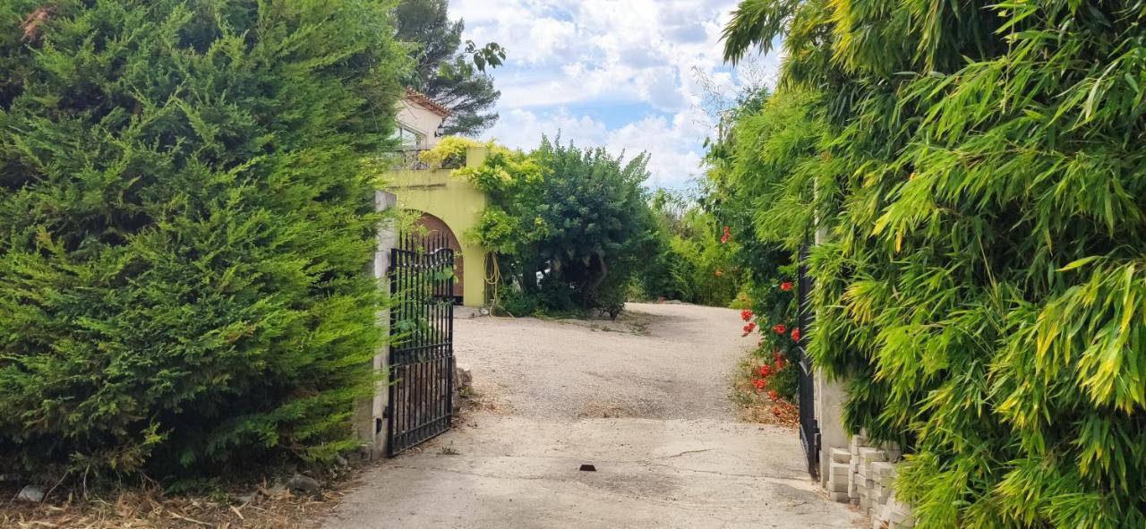 Bambou entre Mer et Montagnes Chateauneuf-Grasse Eksteriør bilde